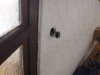 Baueinsatz_2016_140