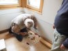Baueinsatz_Unterjoch_2018_153