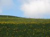 Baueinsatz_Unterjoch_2018_224