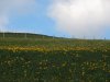 Baueinsatz_Unterjoch_2018_225