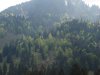 Baueinsatz_Unterjoch_2018_235