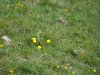 Baueinsatz_Unterjoch_2018_244