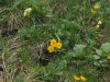 Baueinsatz_Unterjoch_2018_247