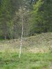 Baueinsatz_Unterjoch_2018_249