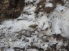 Baueinsatz_Unterjoch_2018_253