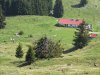 Baueinsatz_Unterjoch_2018_336
