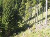 Baueinsatz_Unterjoch_2018_341