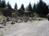 Baueinsatz_Unterjoch_2018_342
