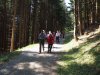 Baueinsatz_Unterjoch_2018_343