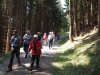Baueinsatz_Unterjoch_2018_344