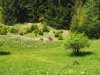 Baueinsatz_Unterjoch_2018_362