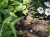 Baueinsatz_Unterjoch_2018_480
