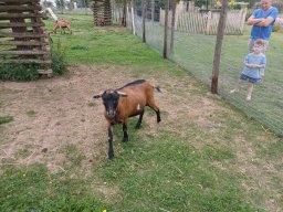 20250816_Andernach_Andi_06