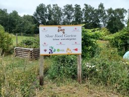 20250816_Andernach_Andi_07