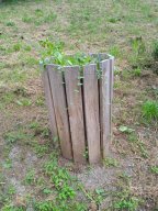 20250816_Andernach_Doris_02