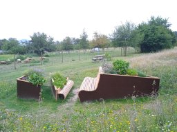 20250816_Andernach_Doris_04