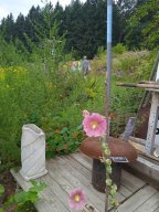 20250816_Andernach_Doris_10