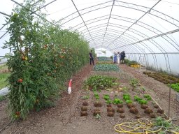 20250816_Andernach_Doris_14