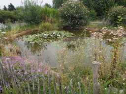 20250816_Andernach_P8160003