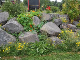 20250816_Andernach_P8160004