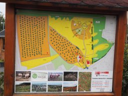 20250816_Andernach_P8160005