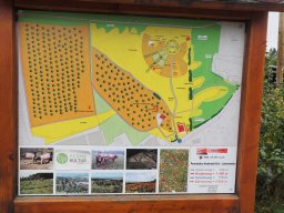 20250816_Andernach_P8160006