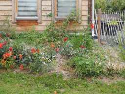 20250816_Andernach_P8160015