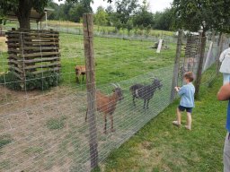 20250816_Andernach_P8160018