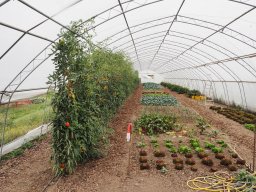 20250816_Andernach_P8160019