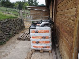 20250816_Andernach_P8160025