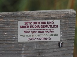 20250816_Andernach_P8160034