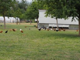 20250816_Andernach_P8160045