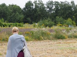 20250816_Andernach_P8160046