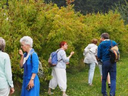 20250816_Andernach_P8160048