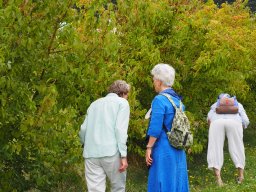 20250816_Andernach_P8160049