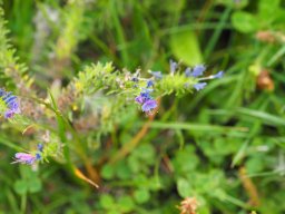 20250816_Andernach_P8160054