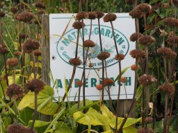 20250816_Andernach_P8160055