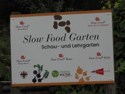 20250816_Andernach_P8160056