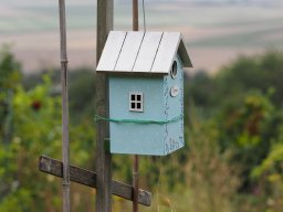 20250816_Andernach_P8160069