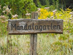 20250816_Andernach_P8160070