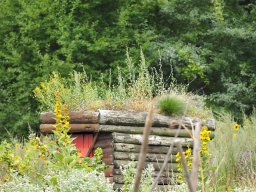 20250816_Andernach_P8160071