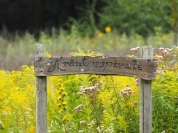 20250816_Andernach_P8160072