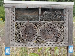 20250816_Andernach_P8160082