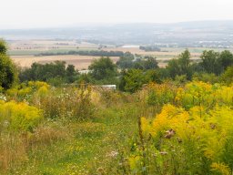 20250816_Andernach_P8160083