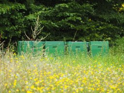 20250816_Andernach_P8160084