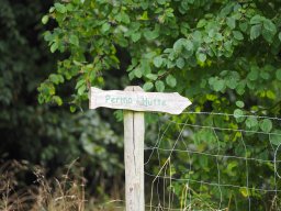 20250816_Andernach_P8160085