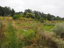 20250816_Andernach_P8160094