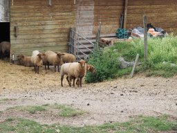 20250816_Andernach_P8160106