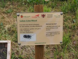 20250816_Andernach_P8160107