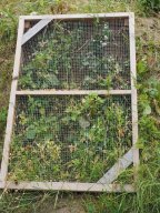 20250816_Andernach_P8160108